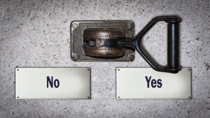 The Skinny Persons Default Switch - Diet Secrets - The Skinny Switch