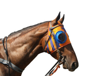 stop wearing blinkers - Think Before You Eat