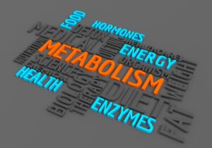 Why Fad Diets Don't Work