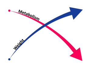 slow metabolism leads to weight gain