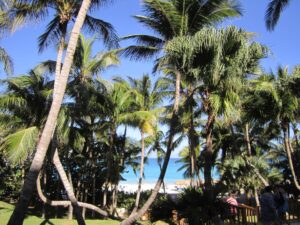 why coconut water is good for you