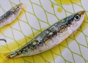 best omega-3 food sources